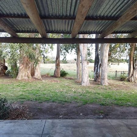 La Nena: Casa De Campo A 15 Minutos Del Centro. Villa Colonia del Sacramento Dış mekan fotoğraf