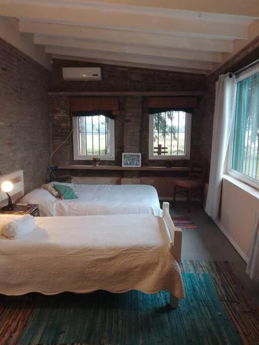 La Nena: Casa De Campo A 15 Minutos Del Centro. Villa Colonia del Sacramento Dış mekan fotoğraf